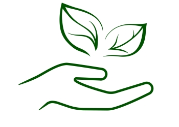 Line icon of hand carefully holding green leaves. Symbol of ecology, environmental awareness, nature protection concept. Vector Illustration